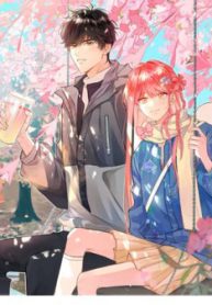 bong-bong-dao-chi-thumb