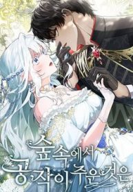 cong-tuoc-da-nhat-duoc-gi-tai-rung-thumb