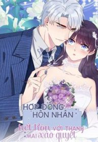 hon-nhan-hop-dong-ket-hon-voi-thanh-mai-xao-quyet-thumb