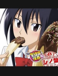 seitokai-yakuindomo-thumb