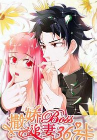 36-ke-theo-duoi-vo-yeu-thumb