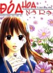 doa-hoa-no-ro-thumb