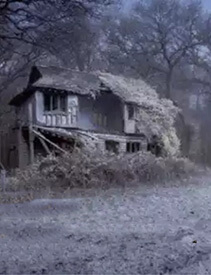 ngai-cuoc-doi-cua-toi-phien-ban-chinh-thuc-thumb