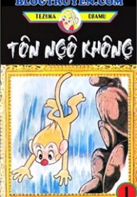 ton-ngo-khong-thumb